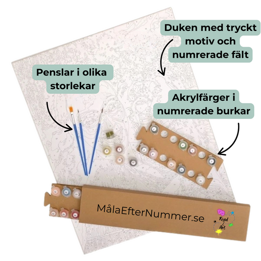 Måla efter nummer set för vuxna med duk, akrylfärger och penslar