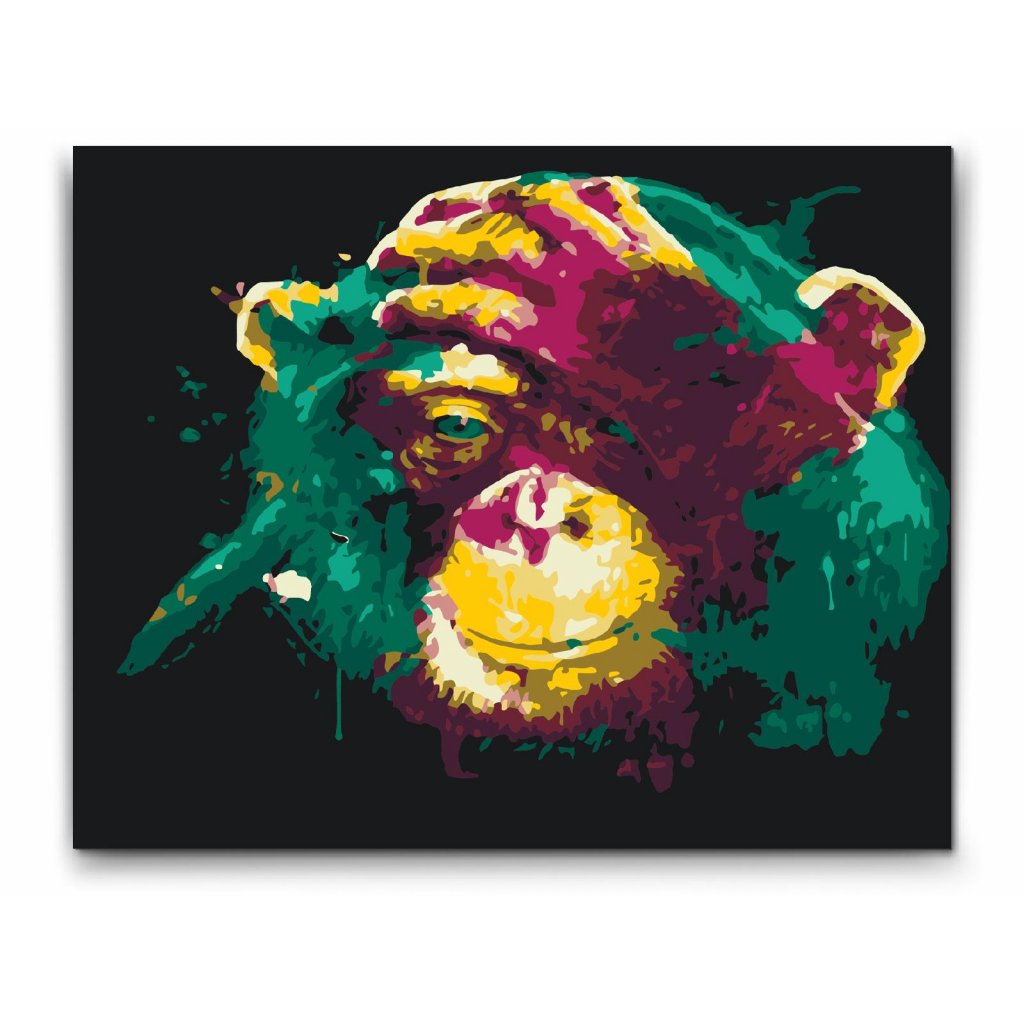 Paint By Numbers - Darwin Monkey - dubbelmålning för en extraordinär visuell effekt