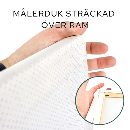 Svart Lejon Prickmålning