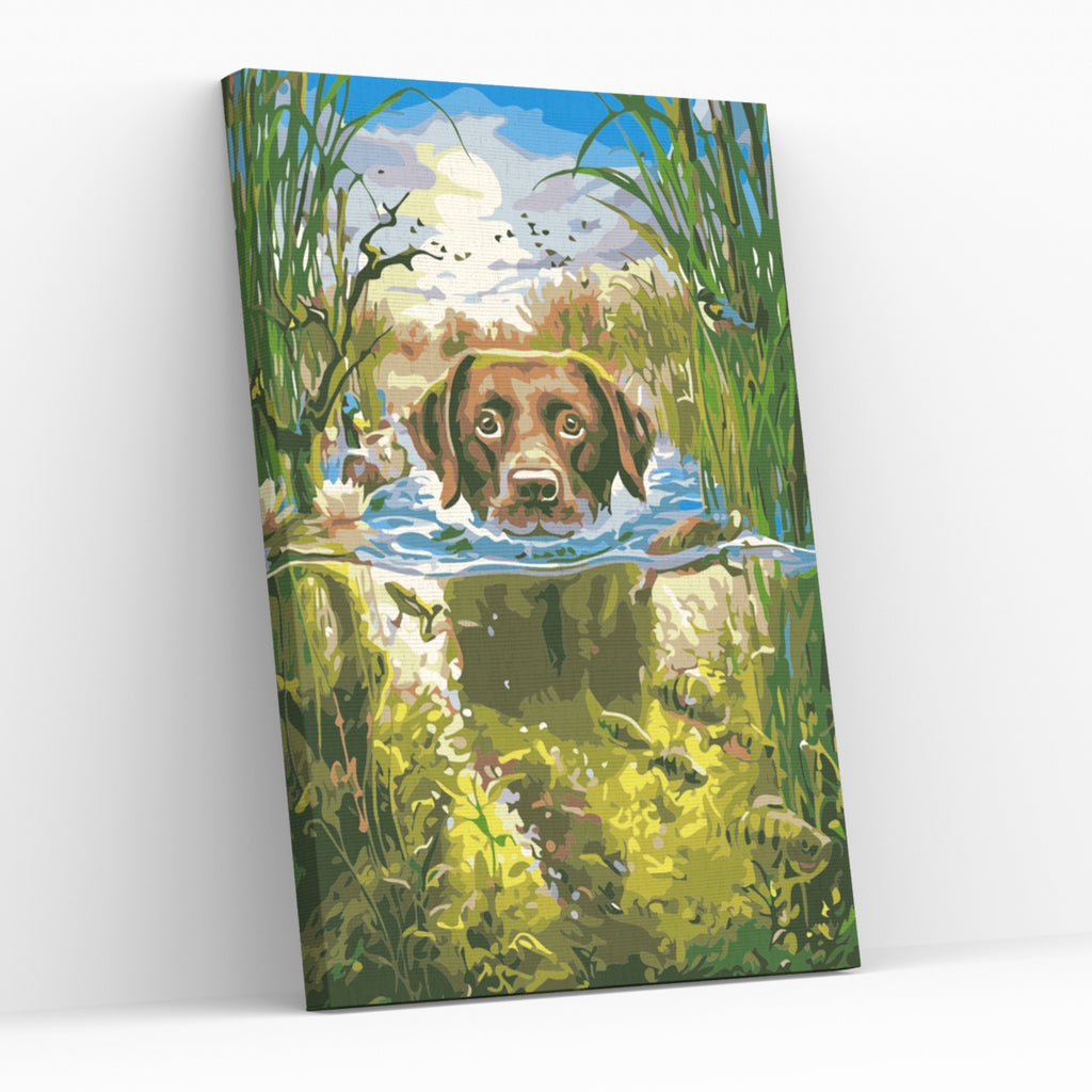 Paint by Numbers med SIMNING LABRADOR